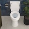 Craft And Main Elongated Toilet, pc, Easley, Guard TL-5800AFHV-EW - alternate 7