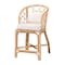 Bali & Pari Prisca Natural Rattan Counter Stool 269-14779-ZORO - alternate 1