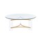 Homeroots 41" Clear and Gold Glass Acrylic and Brass Round Coffee Table 572210 - alternate 6