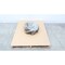 Goulds Water Technology STAINLESS 6-VANE PUMP IMPELLER 19.25IN OD 3175LT 18X18-22 - alternate 1