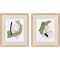 Homeroots Set Of Two Sage Treasures I Brown Framed Wall Art, 2PK 606709 - alternate 1