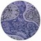 Homeroots 8' Navy Blue Gray And Green Round Floral Medallion Washable Indoor Outdoor Area Rug 603181 - alternate 8