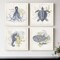 Homeroots Set Of Four Coastal Sea Creatures White Framed Print Wall Art, 4PK 527015 - alternate 5