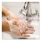 Dial Professional Gold Antibacterial Liquid Hand Soap, 1 gal, 4PK 88047 - alternate 6