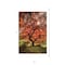 Homeroots First Colors of Fall II 1 White Framed Print Wall Art 405076 - alternate 3