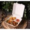 Kitch 24/7 Disposables White Compostable 3 Compartment Molded Fiber Hinged Container, 8 x 8 inch, 200PK KC-8X8-3CHC-NPAW - alternate 3