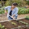 Corona Tools Extended Reach Hoe/Cultivator with ComfortGEL Grip GT 3244 - alternate 4