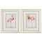 Homeroots 10" X 12" Champagne Gold Color Frame Pink Showoff, Set Of 2, 2PK 365108 - alternate 3
