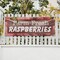 Signmission Farm Fresh Raspberries, 36 Inch x 96 Inch, Vinyl Banner B-96-30614 - alternate 5