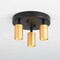 Vidalite Shura Black & Brass 3-Light Round Ceiling Light with Rotatable Heads, Integrated LED Bulbs, 3000k CE1008785 - alternate 7