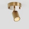 Vidalite Shura Brushed Brass Spot Light with Adjustable Head, Integrated LED Bulb, 3000k, 1370 Lumen CE1009072 - alternate 6