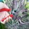 Corona Tools Yard Essentials Pocket Pruner BP13630 - alternate 3
