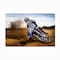 Trademark Fine Art Outdoor Canvas Art - Attila Szabo 'Desert King' Wall Art for Patios, or Gardens 1X11005-OC1624WR - alternate 6