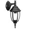 Homeroots Matte Black Hanging Globe Lantern Wall Light 398562 - alternate 5