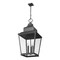 Z-Lite Raphael Sand Black 5 Light Outdoor Chain Mount Ceiling Fixture 5029CHXXL-BK - alternate 6