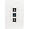 Tripp Lite Single-Gang 3-Port Wallplate Keystone Cat5/6 USB/HDMI/DP/RCA TAA N080-103 - alternate 2
