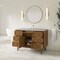 James Martin Vanities Laurent 48" Single Vanity, Honey Oak w/ 3 CM Victorian Silver Silestone Top 545-V48-HNO-3VSL - alternate 8