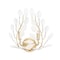 Z-Lite Claudine Modern Gold 2 Light Wall Sconce 353-2S-MGLD - alternate 6