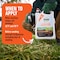 Roundup Crabgrass Weed and Vegetation Killers RTU Liquid 0.5 gal 4388501 - alternate 7