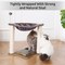 Simple Deluxe Cat Scratching Post for Indoor Cats, Small Cat Tree Tower with Hammock Wooden Interactive Track Bal PTCATTREE18GRY - alternate 7