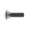 Zoro Select Carriage Bolt, Square Neck, 5/8"-11, 2 in L, Stainless Steel, 18-8, Not Applicable, 25 PK 31-CB-62C-200 - alternate 4