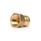 Zoro Select Female Straight Adapter, Brass, Not Applicable LF842FR - alternate 1
