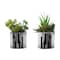 Monarch Specialties Artificial Plant, 7'' Tall, Succulent, Indoor, Fake, Decorative, Green Plants, Chrome Pots, 2PK I 9550 - alternate 2