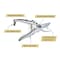 Kings County Tools Bypass Pruning Shears for Gardening 8 in Heavy Duty Garden Shears Spring-Loaded Snap Catch GW23K05-11 - alternate 6