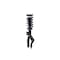 Fcs Struts Suspension Strut And Coil Spring Assembly 1355160R - alternate 5