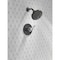 Delta Nicoli Monitor 14 Series H2Okinetic Shower 142749-CS - alternate 8