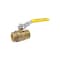 Bk Products Ball Valve ProLine 1in Brass FIP Full Port 107-825LNL - alternate 2