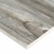 Msi Carolina Timber Grey Sample  Matte Porcelain Floor And Wall Tile ZOR-PT-0872-SAM - alternate 12