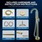 Anzzi Coral Series 2-Handle Freestanding Tub Faucet with 60 in. Euro-Grip Hand Sprayer in Satin Brass FS-AZ0047SB - alternate 9