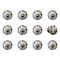 Homeroots Set of Twelve Black And White Ceramic Drawer Pull Knobs, 12PK 358102 - alternate 6