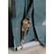 Shelterlogic ShelterCoat 13 x 28 x 1 ft Green Wind And Snow Rated Garage Round 90234 - alternate 11