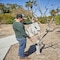 Corona Tools Hickory Handle ClassicCUT Bypass Lopper, 26 in., 2-1/4 in. Cut Capacity WL 6420 - alternate 6