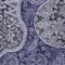 Homeroots 3' X 5' Navy Blue Gray And Green Floral Medallion Washable Indoor Outdoor Area Rug 603179 - alternate 7