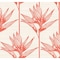 York Wallcoverings Bird of Paradise Coral Wallpaper TC2676 - alternate 1
