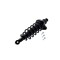 Fcs Struts Suspension Strut And Coil Spring Assembly 3355016L - alternate 4
