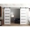 Sartodoors Sturdy Double Barn Door White Solid Core Modern Interior QUADRO4445DB-WS-36 - alternate 1