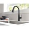 Delta Essa Single Handle Pull-Down Kitchen Faucet with Touch2O Technology 9113T-BL-DST - alternate 7