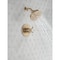 Delta Saylor Monitor 17 Series Shower Trim T17235-CZ - alternate 6