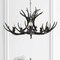 Jonathan Y Eldora 30" 5-Light Rustic Farmhouse Adjustable Resin Antler LED Chandelier, Black JYL6300C - alternate 11