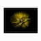 Trademark Fine Art Outdoor Canvas Art Brian Carson 'Backyard Flowers 67' Wall Art for Patios, or Gardens BRC00066-OC2432WR - alternate 6