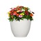 L&G 13 in. H X 16 in. D Polyresin Shea Planter White PVI4616TWI - alternate 2