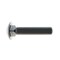 Zoro Select Carriage Bolt, Square Neck, 5/8"-11, 3 in L, Stainless Steel, 18-8, Not Applicable, 25 PK 31-CB-62C-300 - alternate 3