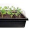 Jiffy 50 Cells 5.5 in. H X 11 in. W X 21 in. L Seed Starting Kit TS50HST-8 - alternate 6