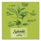 Splenda Stevia Sweetener Pack, 0.04 oz, 1000PK HFP00615 - alternate 5