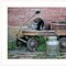 Homeroots Milk Wagon 2 White Framed Print Wall Art 407526 - alternate 5
