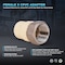 Everflow FIPxPVC Adapter Pipe Fitting 1/2" SSCPF012-NL - alternate 2